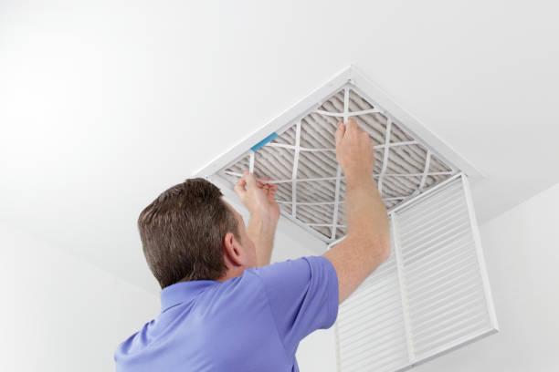 Best Air Duct Sanitizing Services  in Pinedale, WY